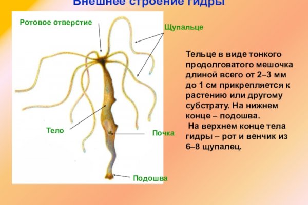 Кракен магазин krakens13 at