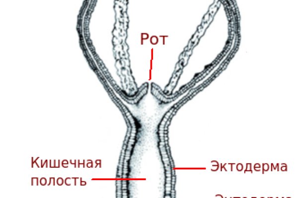 Зеркало kraken тор ссылка рабочее