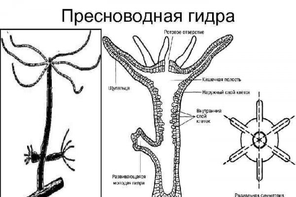 Кракен сайт kraken014 com